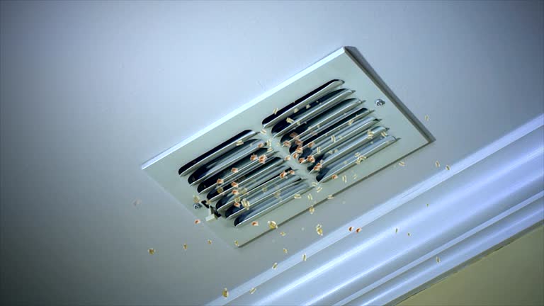 Best Air Vent Cleaning Services  in Heritage Pines, FL