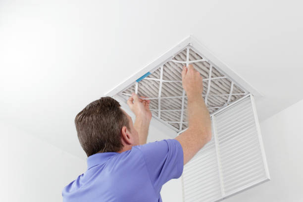 Best Ductwork Cleaning Services  in Heritage Pines, FL